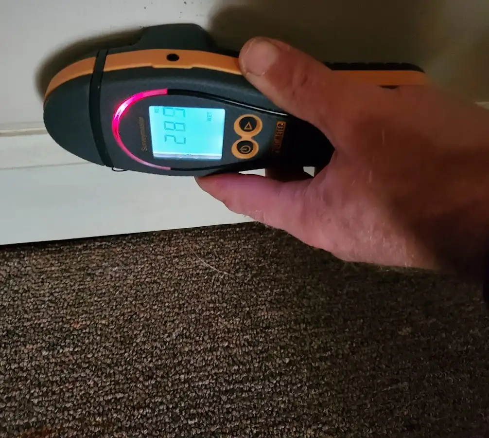Moisture detection at baseboard during Sewage Cleanup & Sanitation in Ogden